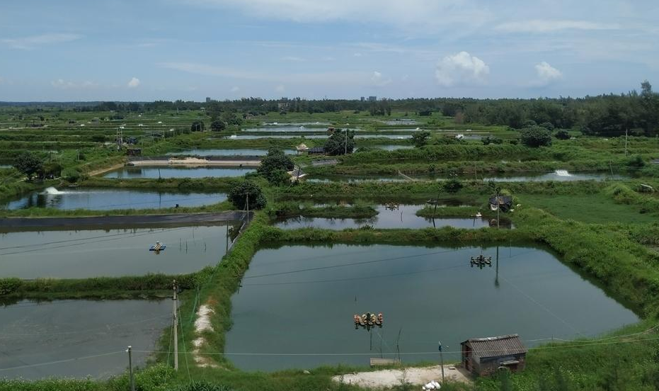 魚塘水質分析儀廠家